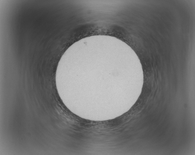 X0000075360769200610061746