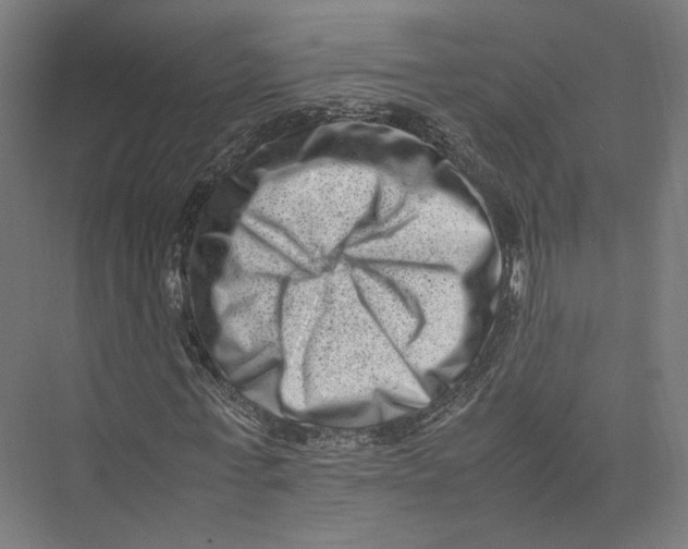 X0000075360771200610061746