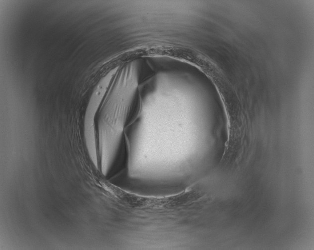 X0000075360773200610061746