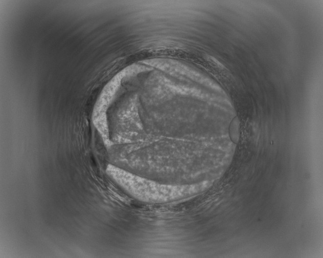 X0000075360774200610061746