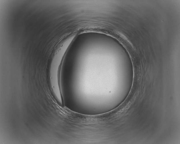 X0000075360777200610061746