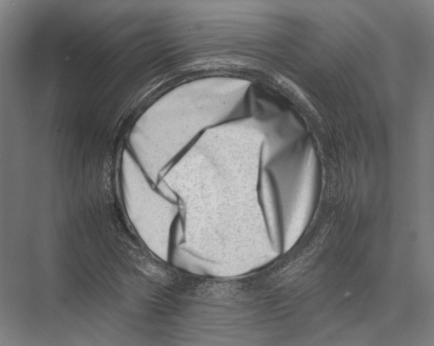 X0000075360778200610061746