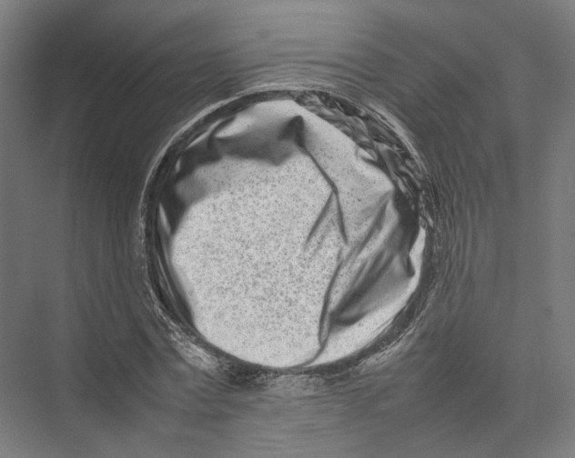 X0000075360779200610061746