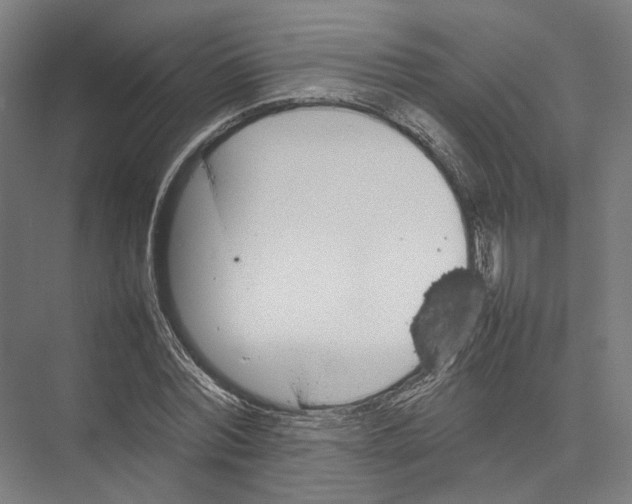 X0000075360780200610061746