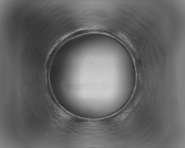 X0000075360781200610061746