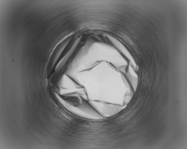 X0000075360782200610061746