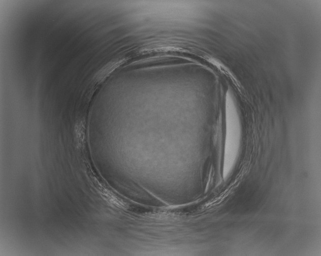 X0000075360785200610061745