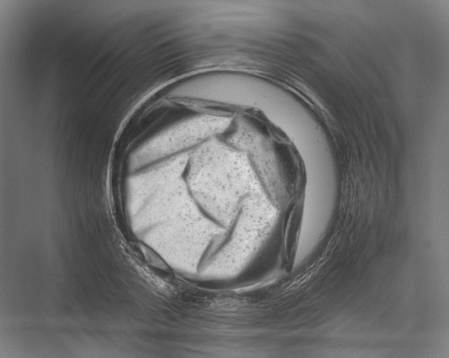 X0000075360788200610061745