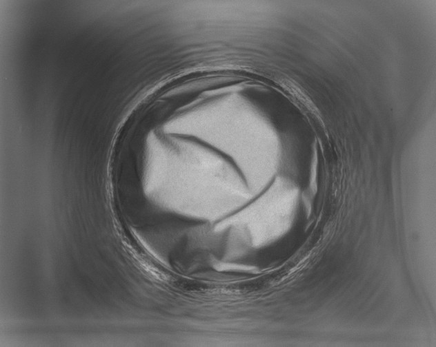 X0000075360789200610061745