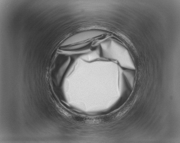 X0000075360793200610061745