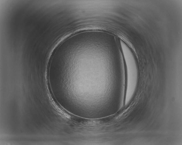 X0000075360797200610061745