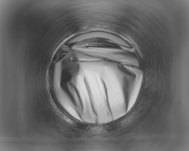 X0000075360798200610061745