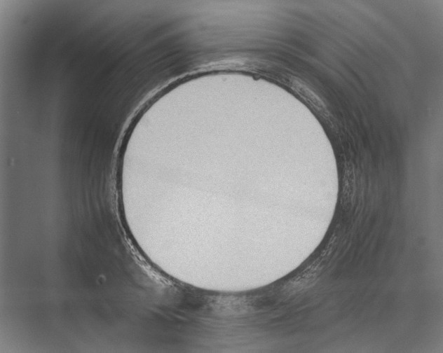 X0000075360800200610061745