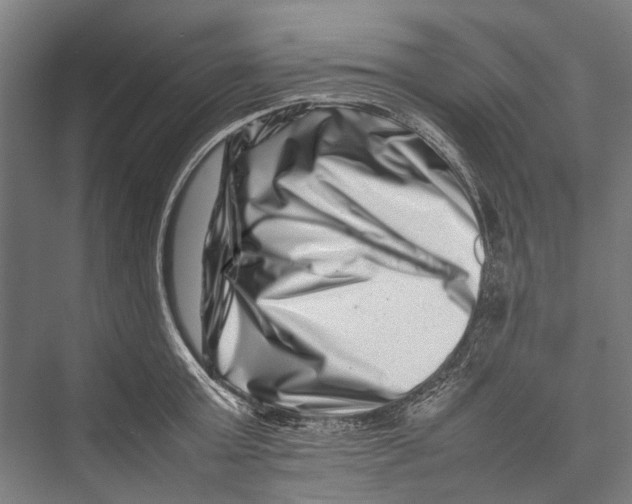 X0000075360803200610061745