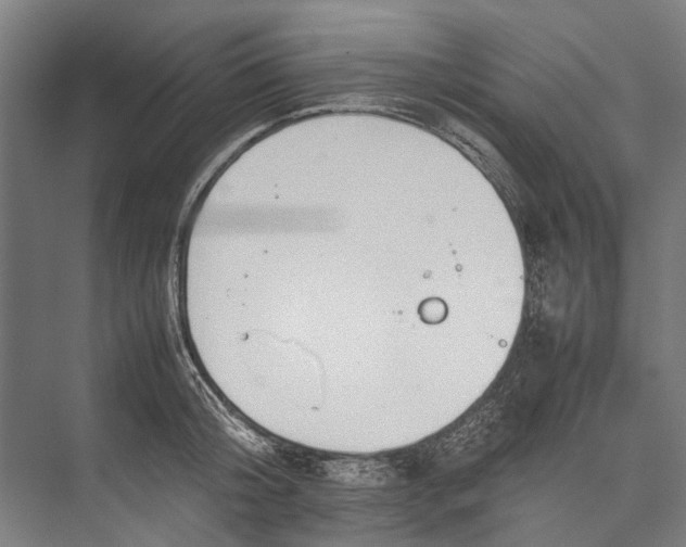 X0000075360804200610061745