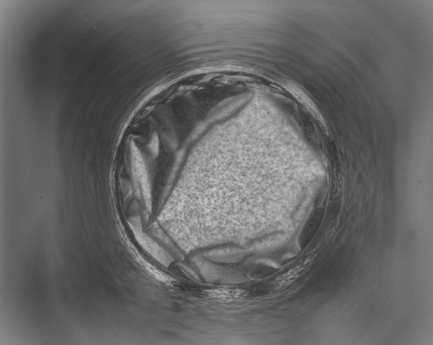 X0000075360805200610061745