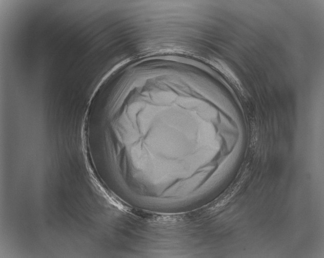 X0000075360806200610061745