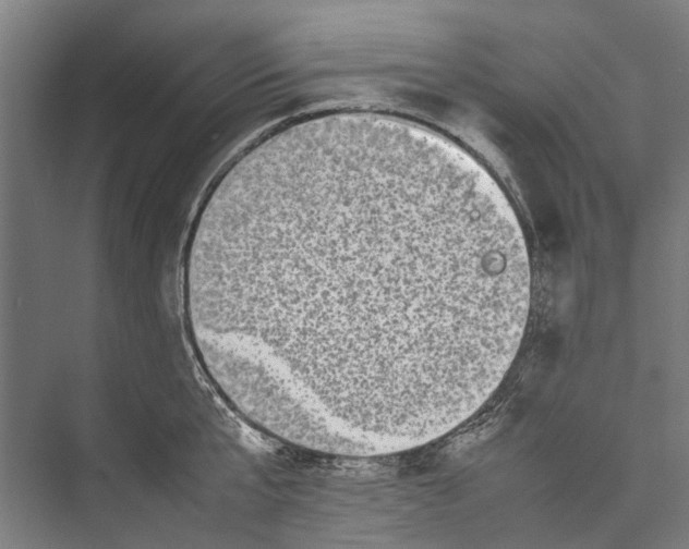 X0000075360807200610061745