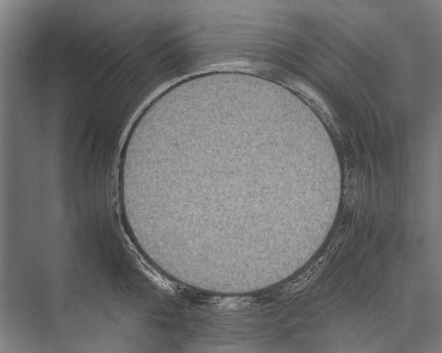 X0000075360808200610061745