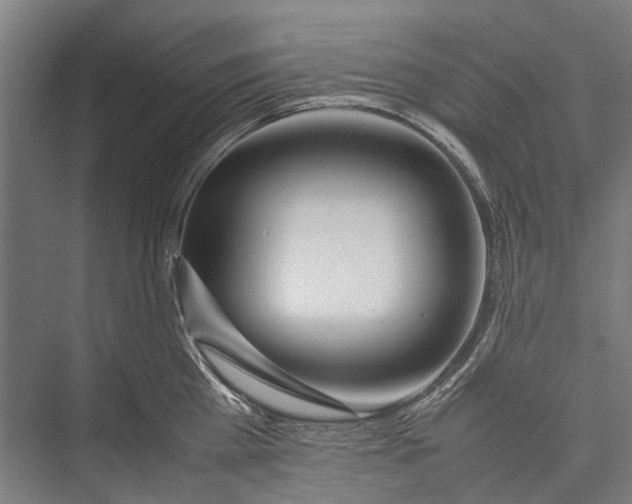 X0000075360809200610061745