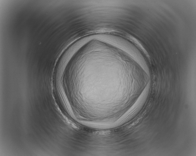 X0000075360810200610061745