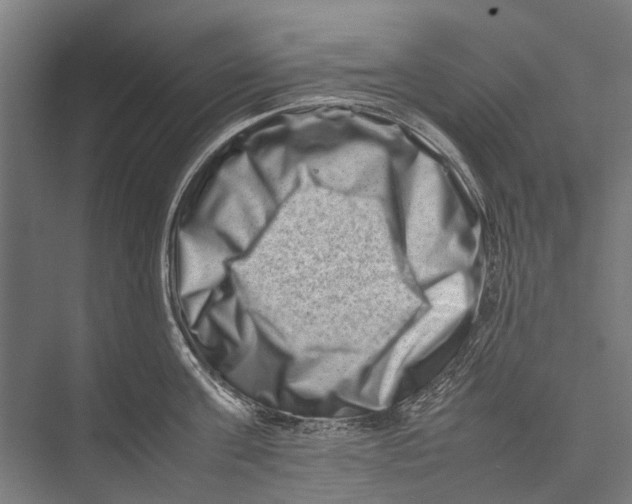 X0000075360811200610061745