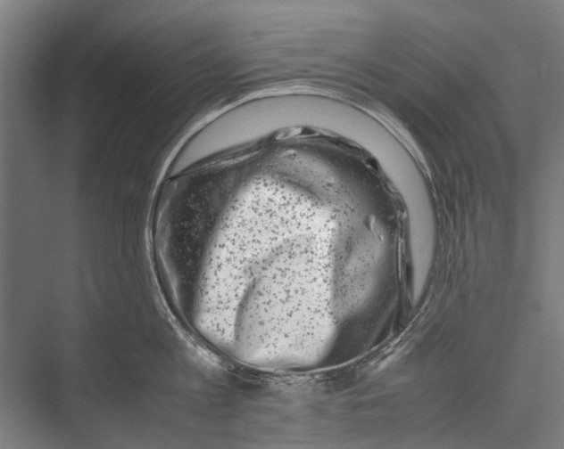 X0000075360813200610061745