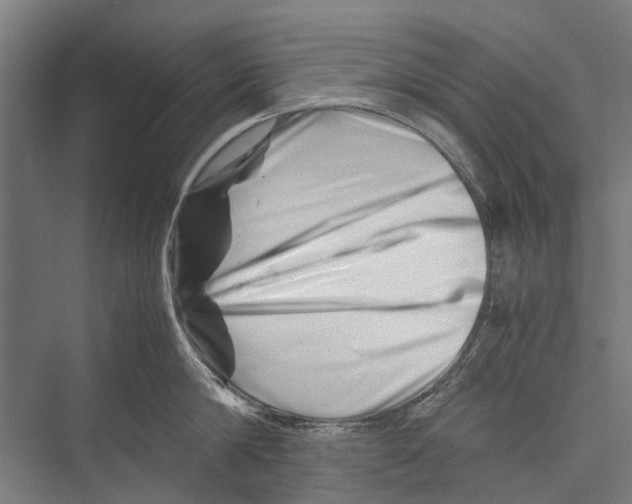 X0000075360814200610061745