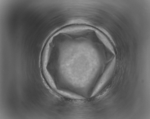 X0000075360815200610061745