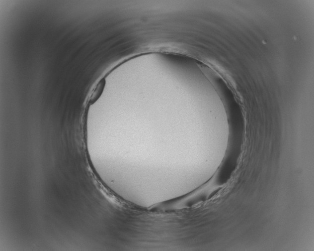 X0000075360816200610061745