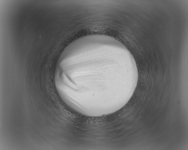 X0000075360817200610061744