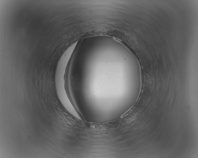 X0000075360818200610061744