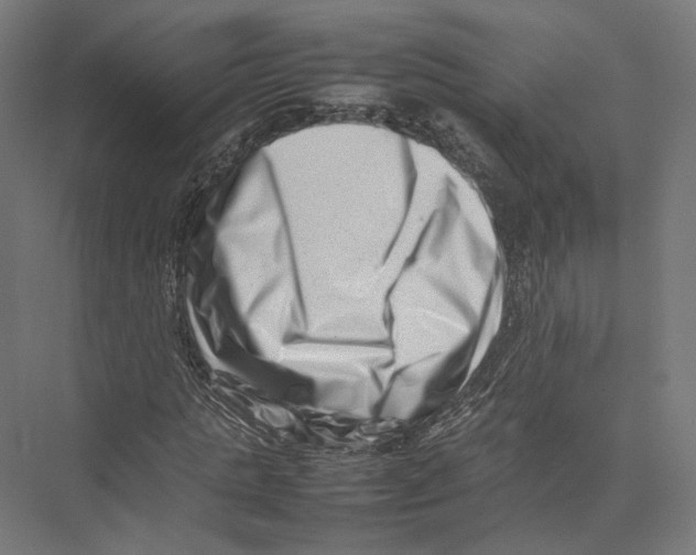 X0000075360821200610061744