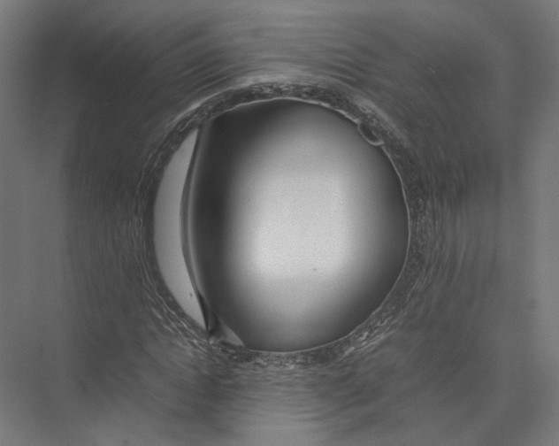 X0000075360822200610061744