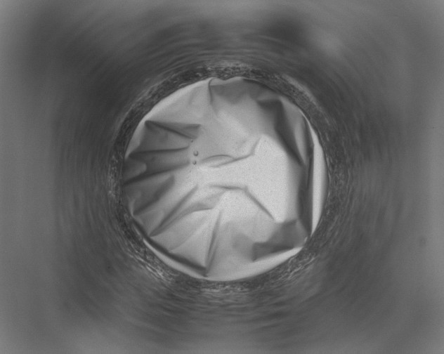 X0000075360823200610061744