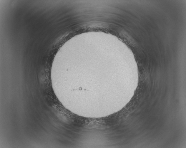 X0000075360824200610061744