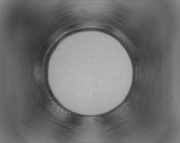 X0000075360828200610061744