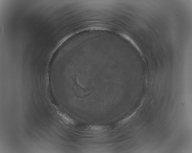 X0000075360829200610061744