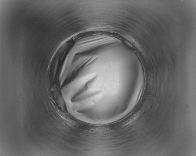 X0000075360830200610061744