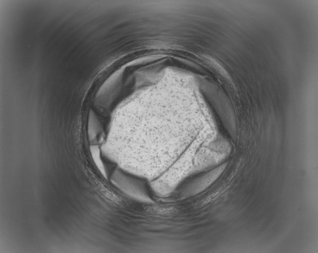 X0000075360831200610061744