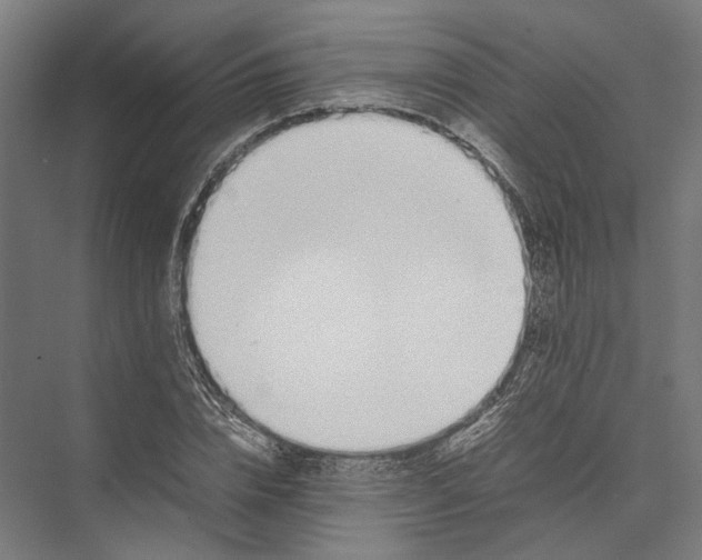 X0000075360832200610061744