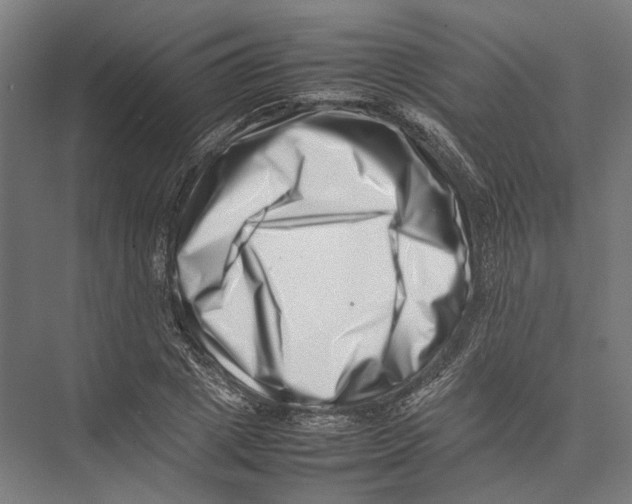 X0000075360833200610061744