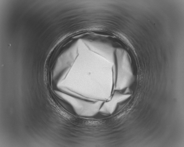 X0000075360835200610061744