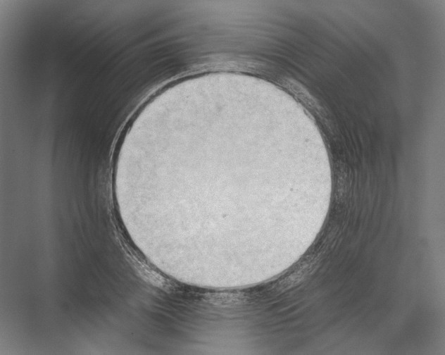 X0000075360836200610061744