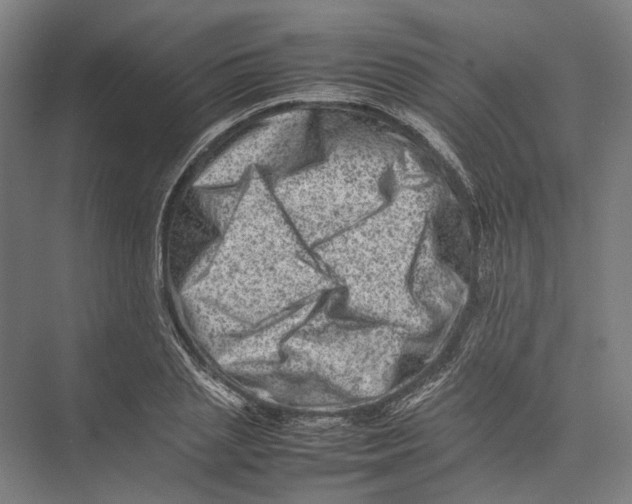 X0000075360837200610061744