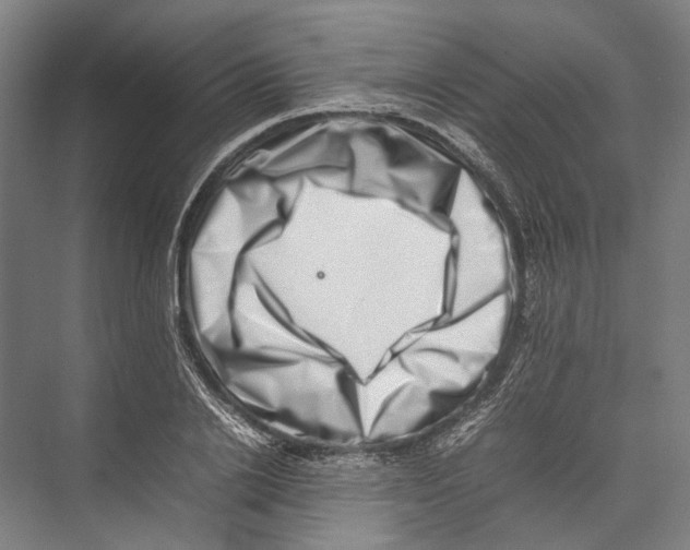 X0000075360838200610061744