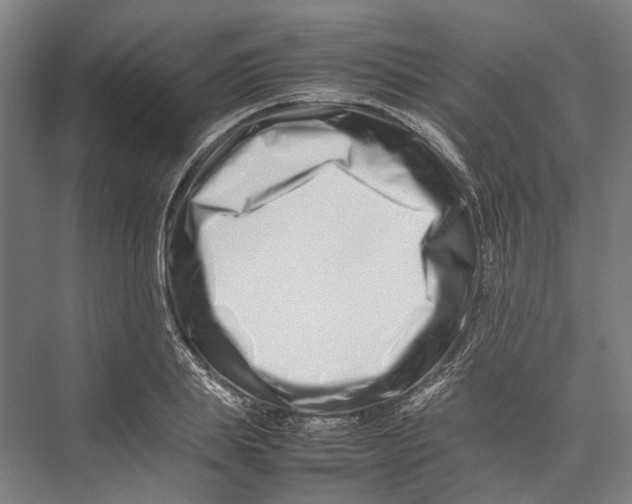 X0000075360839200610061745