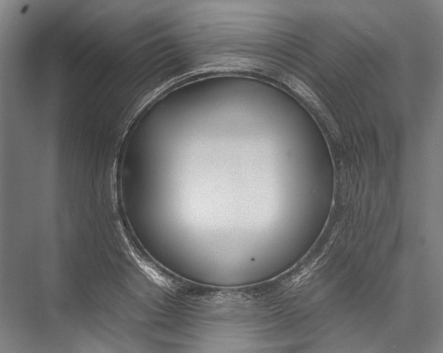 X0000075360842200610061745