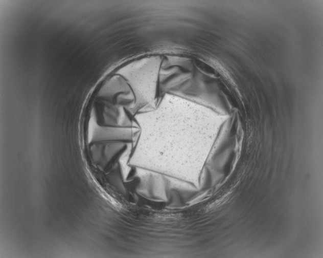 X0000075360843200610061745