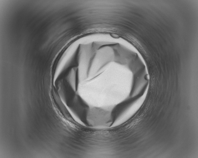 X0000075360844200610061745